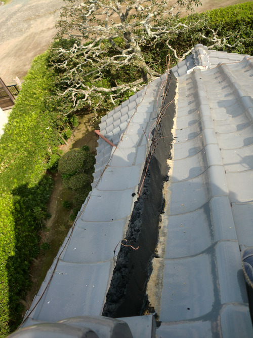 tumblr_inline_mr1ia2jaMP1qz4rgp