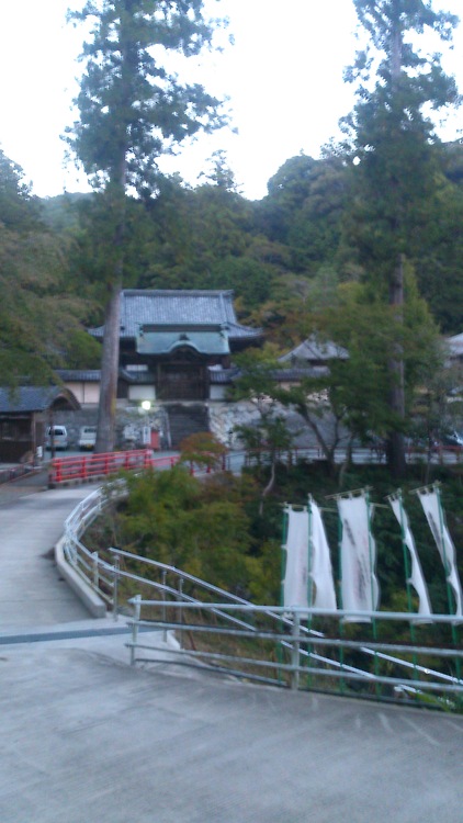 tumblr_mvbn63FFvv1sdajfoo1_500