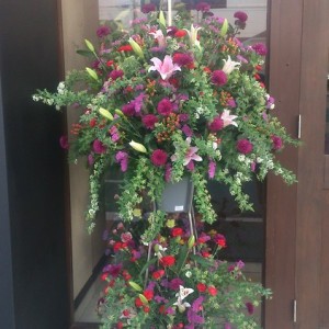 おめでとうございます！