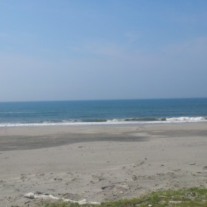 湖西市、清掃活動！！