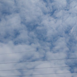 台風 第11号が静岡を通りすぎましたね！