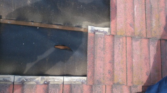 DSC_0067_resize_20141014_193252