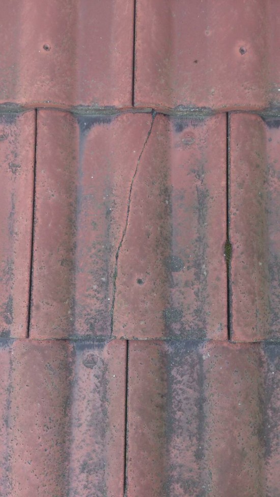 DSC_0070_resize_20141014_193249