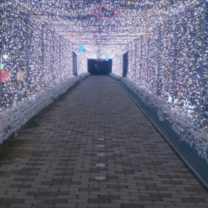 世間はクリスマス！？