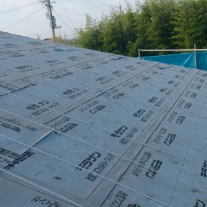 水、塩、日陰    大事です！