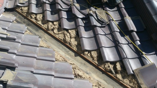 DSC_0318_resize_20151108_200030