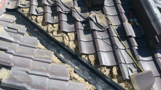 DSC_0321_resize_20151108_200027