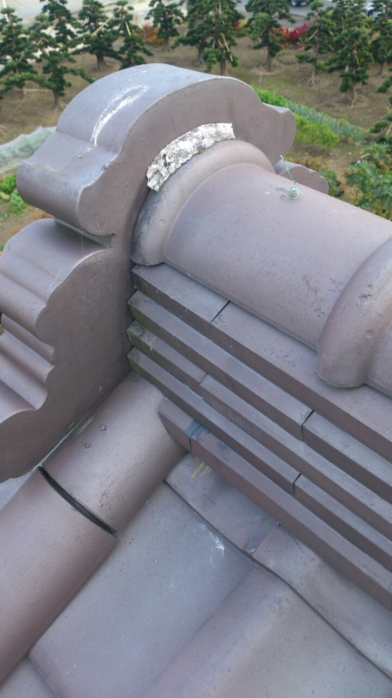 DSC_0329_resize_20151108_195547