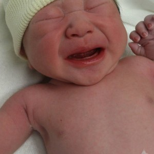 感動！！大事な家族が増えました！