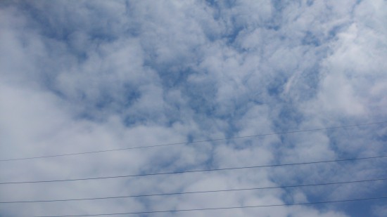 DSC_0007