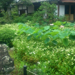 お墓参りに行ってきました！